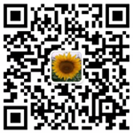 06-宝贝传奇.png
